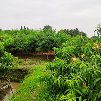 ������������������