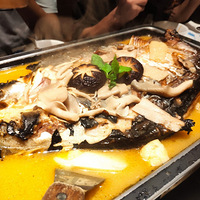 ��������������԰��ɳ�ѣ�������