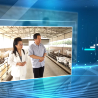 ����̨����ר�ú�����������ӡ