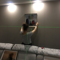 ɹ鷿áԼ