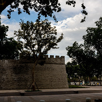 ̨��ǰҹ����