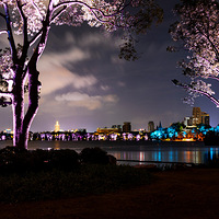 ������ˮ��֮ҹ