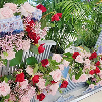 �������ٺ���� | ����չ����ʽ���ţ��������ﾳ