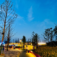 �����ݡ�ɳ�ӡ��ıĴ�������ǽ...����ط��Ķ�ͯ��԰��ѽ���