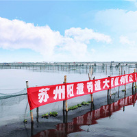 hi �� �� �� ȥ��  �����������������κ���բз���ҵ�һ�ð�