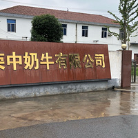 һ�춼�벻��ţ��