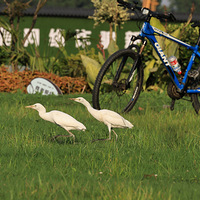 ���ڵİ���Ҳ���ˣ�������һ����ϲ���ݵ��������