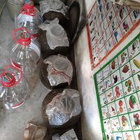 ����Ȼ������