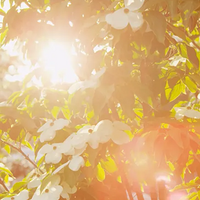 ��������ѡ�̹��ԣ�ѧ �����趼�벻���Ļƽ���