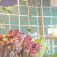 ʳֲݡһˮ˲併
