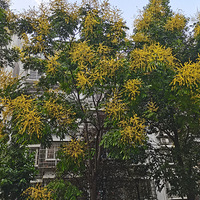 ���Ϳ�ȫ�ݶ��Ʊ������š���ɹ�������Ĩ�ơ�+С���������