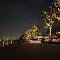 ҹ������