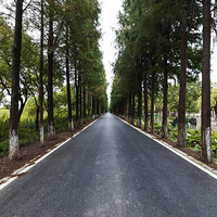 ��Ƥ��С��