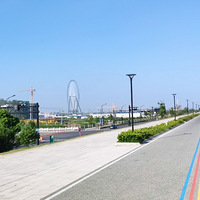 �����޺�ȥ����ȥ���ο�������ץץ�з