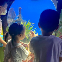 �����޺�ȥ��������������԰