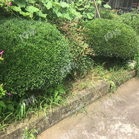 �������������м���Ʒ�������Ļ��������ۣ�����Ҫ���ϰ�˽��