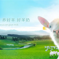 ����������ȫ��ҵ����ϵ����2Сʱ�ƽ���̬����Ȧ