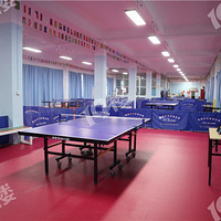 299Ԫ��899Ԫ��5�ڶ�ͯ1��1ƹ����γ̣�����239Ԫƹ���򳩴򼾿�