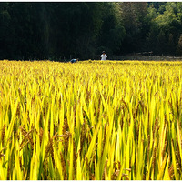 ������ʵ���ռ�