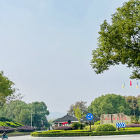 �ϱ�������������֦ͷ��·�ߵ�«έ������ƺ...��������򿨵�