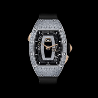 ̽��RICHARD MILLE�����׶��ĺˡ�о��������