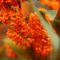 ���� ��������ô��