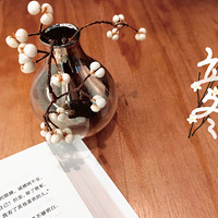 ������װ�α���Ҵ�������ɹɹ�Ҽҵ�ԭľԪ�ء�+����������