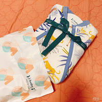 �����˫ʮһ�����˺���˯�����������е�����