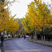 �ֵ�һ��Ʈ��ʱ