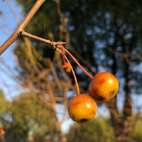 ·����Ϲ��