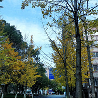 �һ�����