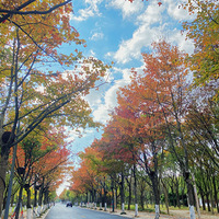 ��ϲ������һ���ȥ���߰ɡ�