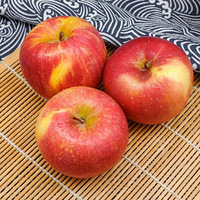 һ��ҧ�������ģ��½�������ƻ������3��˪����ȱ���~