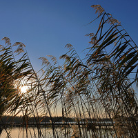 ������õļ��ڣ��ӻƷ�죻������ļ��ڣ�����������