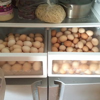 ���������Ӷ���ô��������300��������8ֻ����3ֻѼ��������