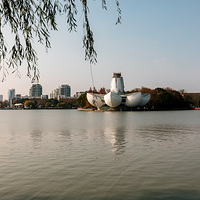 ������԰�����������