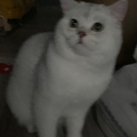 Ѱèصɼɼӡһ¥߶ʮҵдл