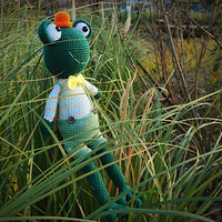 �����ҵ���ż�������԰