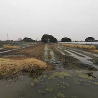 ���и���