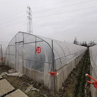 �����˱��ز�ݮ԰����ȥ����Ҫ��Ʊ ������ȥ��ժ���ʺϲ����ˣ�