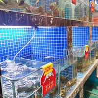 ��һ����ʳ�ֲݡ���ҵ��з��Ʒ�ʻ��Ǻ��޵�