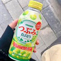 ��ɹɹ�������ɶ�����굱ȻҪ����ʳ��