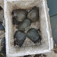 ������԰���㣬���㲻�����ϣ��Լ����ķ��ĳԣ������Ǽ���ǰ��