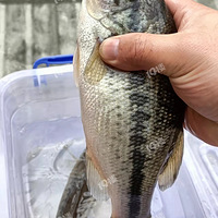 ���㽡���ģ��ҵļ�ͥСũ����ˮ������Գ���������˹���ϵͳ��