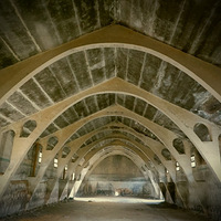 �����µ�������