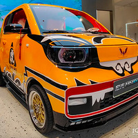 MINIEV޶װʽ࣡