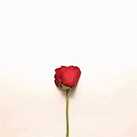 214˽ŻݡƵ긣Ͱ