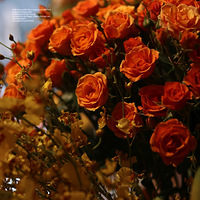 �����˽ڲ��� ��������������������İ���