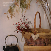 ��������ʳ�ֲݡ�ƽ��ϲ�֣������Ǻ���