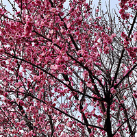 ÷�������������ĺܺÿ�����